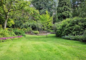 Optimiser l'expérience du jardin à Etauliers